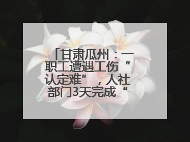 甘肃瓜州：一职工遭遇工伤“认定难”，人社部门3天完成“证据链闭环”