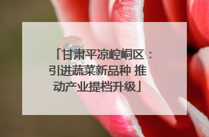 甘肃平凉崆峒区：引进蔬菜新品种 推动产业提档升级