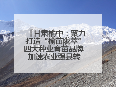 甘肃榆中：聚力打造“榆苗陇萃”四大种业育苗品牌 加速农业强县转型步伐