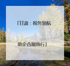 甘肃：税务领航 助企合规前行