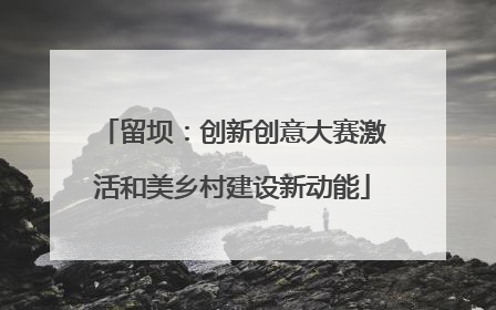 留坝：创新创意大赛激活和美乡村建设新动能