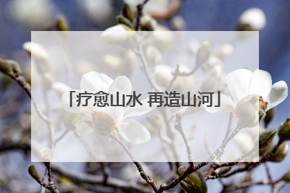 疗愈山水 再造山河
