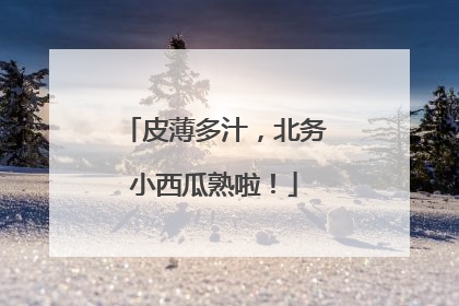 皮薄多汁，北务小西瓜熟啦！