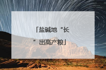 盐碱地“长”出高产粮
