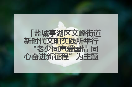 盐城亭湖区文峰街道新时代文明实践所举行“老少同声爱国情 同心奋进新征程”为主题的红色文化活动
