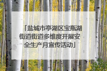 盐城市亭湖区宝瓶湖街道街道多维度开展安全生产月宣传活动