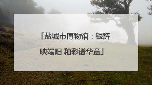 盐城市博物馆：银辉映端阳 釉彩谱华章