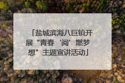 盐城滨海八巨镇开展“青春‘阅’燃梦想”主题宣讲活动