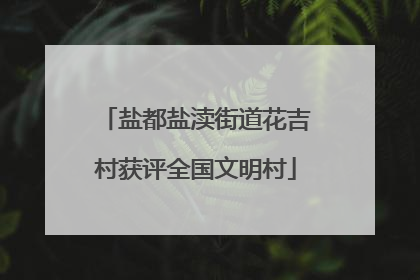 盐都盐渎街道花吉村获评全国文明村