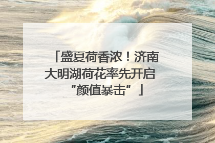 盛夏荷香浓！济南大明湖荷花率先开启“颜值暴击”