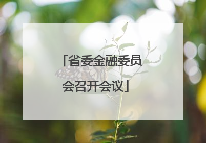 省委金融委员会召开会议