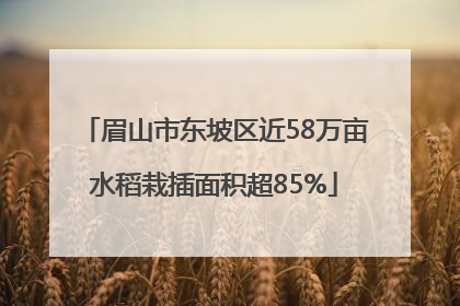 眉山市东坡区近58万亩水稻栽插面积超85%