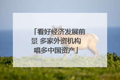 看好经济发展前景 多家外资机构唱多中国资产