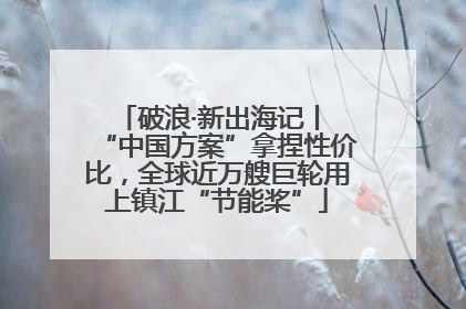 破浪·新出海记丨 “中国方案”拿捏性价比，全球近万艘巨轮用上镇江“节能桨”
