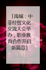 禹城：中菲经贸文化交流大会举办，职业教育合作开启新篇章