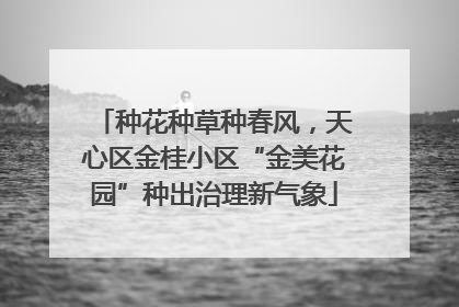 种花种草种春风，天心区金桂小区“金美花园”种出治理新气象