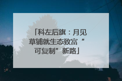 科左后旗：月见草铺就生态致富“可复制”新路