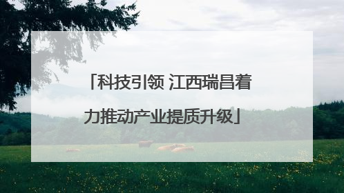 科技引领 江西瑞昌着力推动产业提质升级