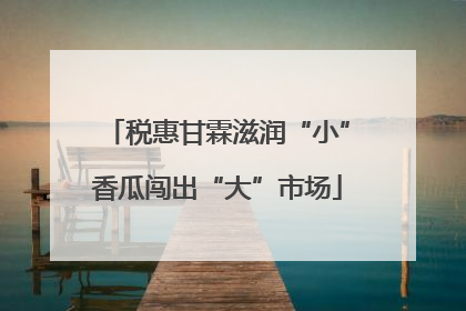 税惠甘霖滋润“小”香瓜闯出“大”市场