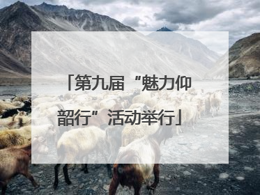 第九届“魅力仰韶行”活动举行