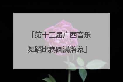 第十三届广西音乐舞蹈比赛圆满落幕