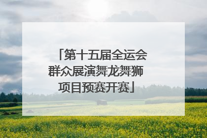 第十五届全运会群众展演舞龙舞狮项目预赛开赛
