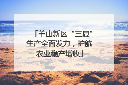 羊山新区“三夏”生产全面发力，护航农业稳产增收