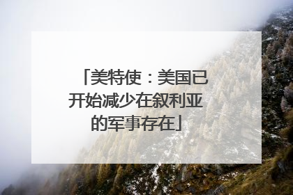 美特使：美国已开始减少在叙利亚的军事存在