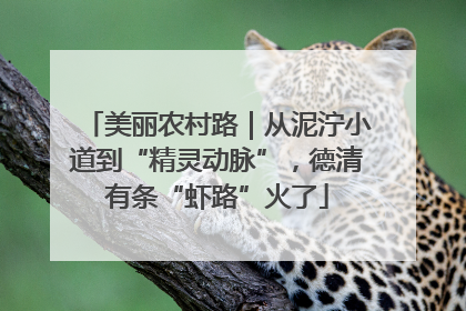 美丽农村路｜从泥泞小道到“精灵动脉”，德清有条“虾路”火了