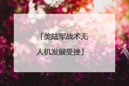 美陆军战术无人机发展受挫