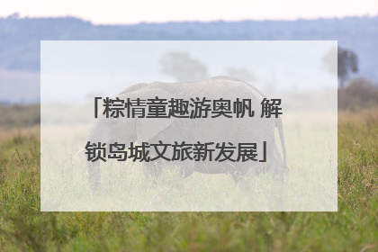 粽情童趣游奥帆 解锁岛城文旅新发展