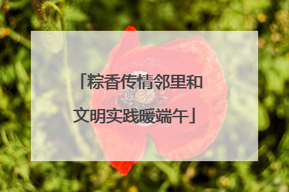 粽香传情邻里和 文明实践暖端午