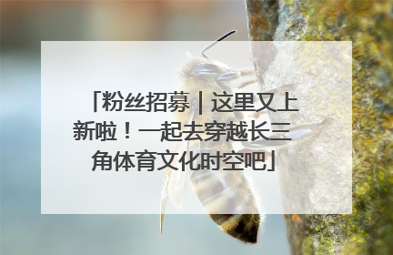 粉丝招募｜这里又上新啦！一起去穿越长三角体育文化时空吧