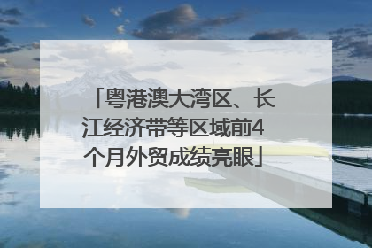粤港澳大湾区、长江经济带等区域前4个月外贸成绩亮眼
