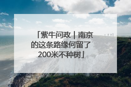 紫牛问政｜南京的这条路缘何留了200米不种树