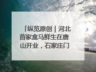 纵览原创｜河北首家盒马鲜生在唐山开业，石家庄门店预计8月开业