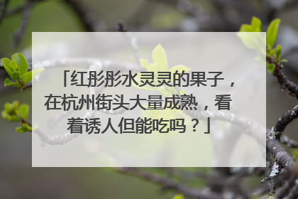 红彤彤水灵灵的果子，在杭州街头大量成熟，看着诱人但能吃吗？
