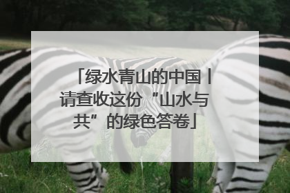绿水青山的中国丨请查收这份“山水与共”的绿色答卷