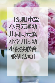 绵阳市盐亭县云溪幼儿园同云溪小学开展幼小衔接联合教研活动