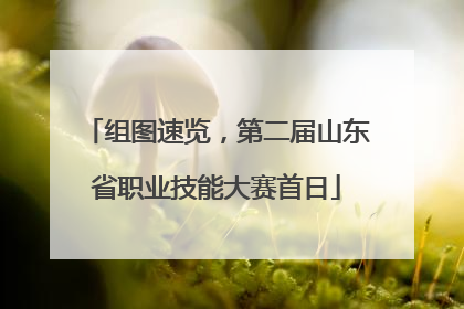 组图速览，第二届山东省职业技能大赛首日