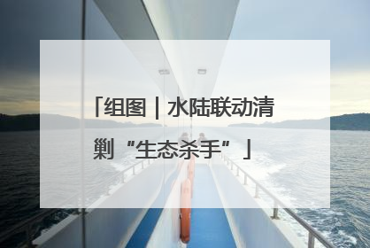 组图｜水陆联动清剿“生态杀手”