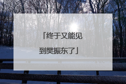 终于又能见到樊振东了