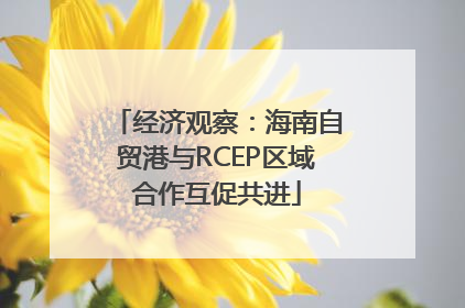 经济观察：海南自贸港与RCEP区域合作互促共进