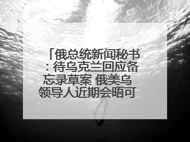 俄总统新闻秘书：待乌克兰回应备忘录草案 俄美乌领导人近期会晤可能性小