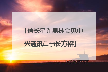 信长星许昆林会见中兴通讯董事长方榕