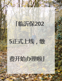 临沂保2025正式上线，缴费开始办理啦