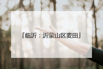 临沂：沂蒙山区麦田