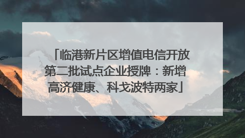 临港新片区增值电信开放第二批试点企业授牌：新增高济健康、科戈波特两家