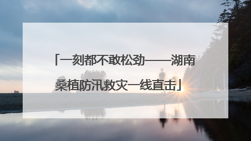 一刻都不敢松劲——湖南桑植防汛救灾一线直击
