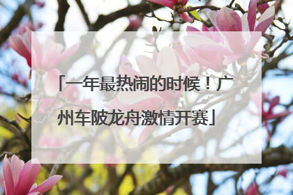 一年最热闹的时候！广州车陂龙舟激情开赛